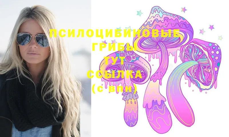 Галлюциногенные грибы Psilocybe  мега как войти  Трубчевск 