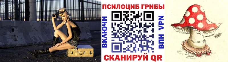 Псилоцибиновые грибы Psilocybine cubensis  МЕГА как войти  Трубчевск 
